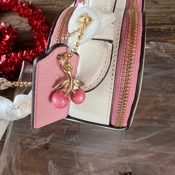 COACH Heart Crossbody In Signature Canvas With Heart Cherry Print NEW - Picture 6 of 14
